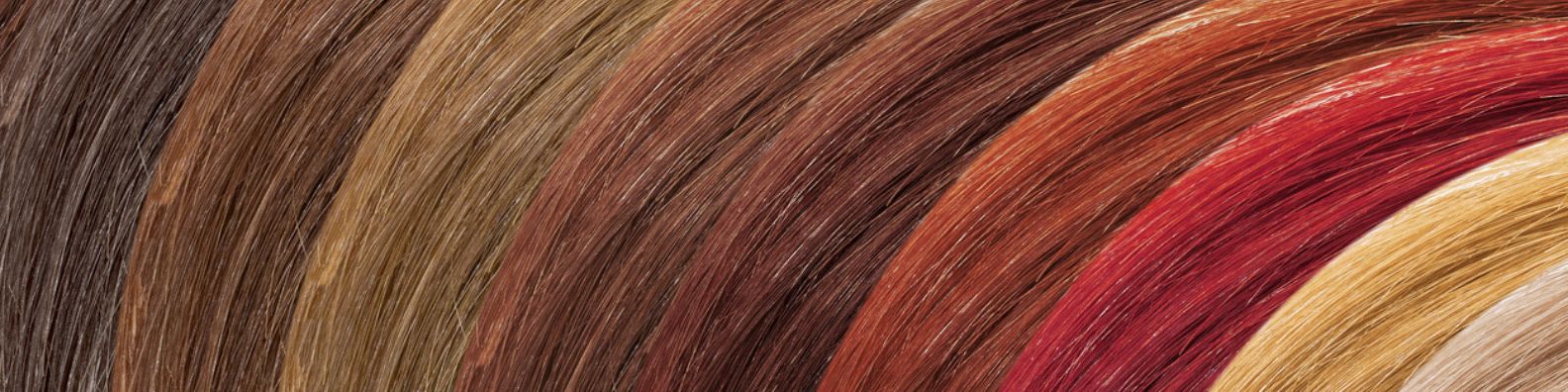 Which Hair Color Should You Try