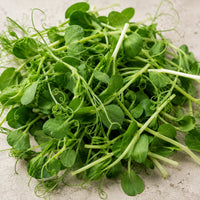 56 Superfood Extracts